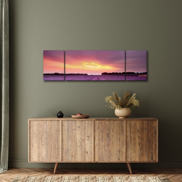 Obraz - Levandulové pole (170x50 cm)
