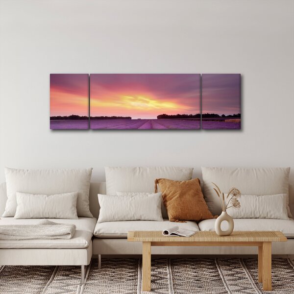 Obraz - Levandulové pole (170x50 cm)