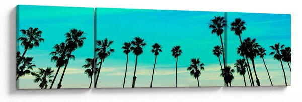 Obraz - Kalifornie (170x50 cm)
