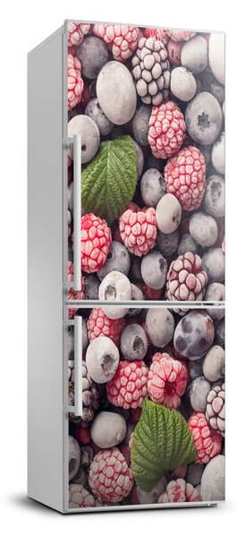 Nálepka na ledničku Mražené ovoce FridgeStick-70x190-f-90865962