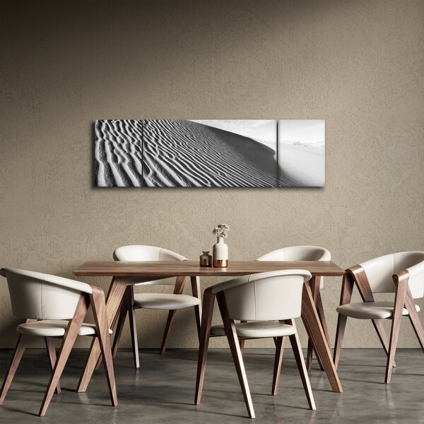 Obraz - Písečná duna (170x50 cm)