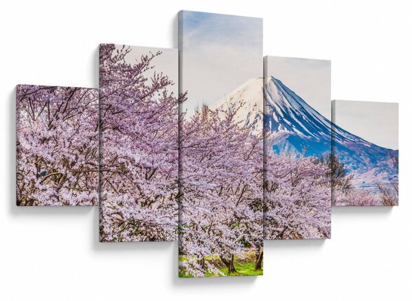 Obraz - Japonsko na jaře (125x70 cm)