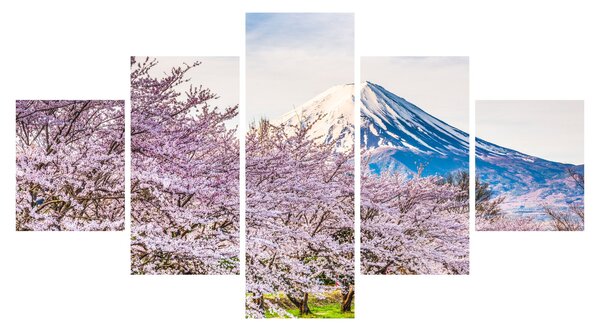 Obraz - Japonsko na jaře (125x70 cm)