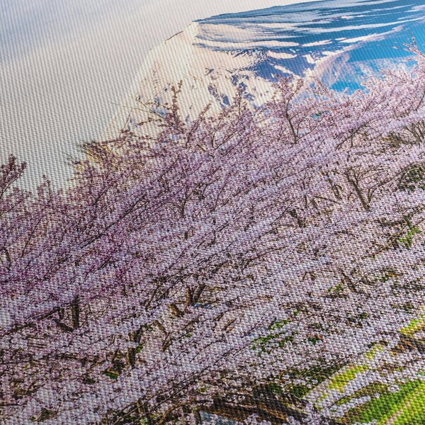 Obraz - Japonsko na jaře (125x70 cm)