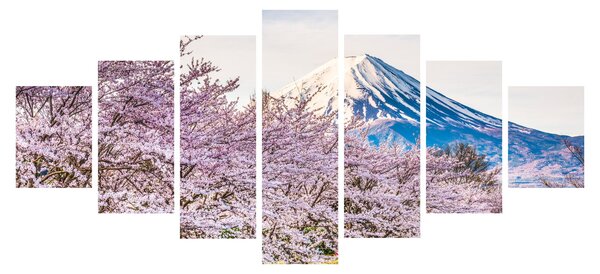 Obraz - Japonsko na jaře (210x100 cm)