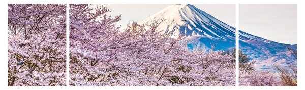 Obraz - Japonsko na jaře (170x50 cm)