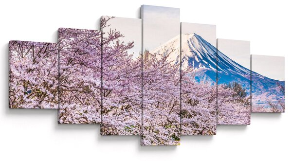 Obraz - Japonsko na jaře (210x100 cm)