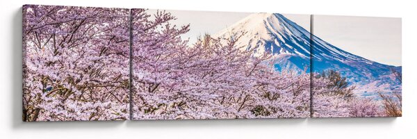 Obraz - Japonsko na jaře (170x50 cm)