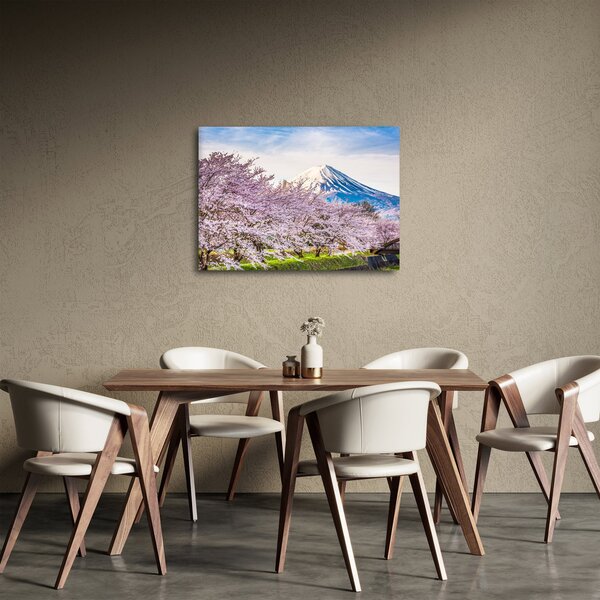 Obraz - Japonsko na jaře (70x50 cm)