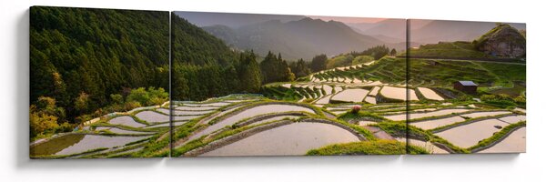 Obraz - Rýžové terasy (170x50 cm)