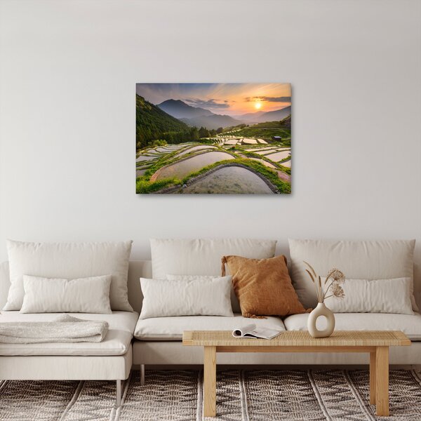 Obraz - Rýžové terasy (70x50 cm)