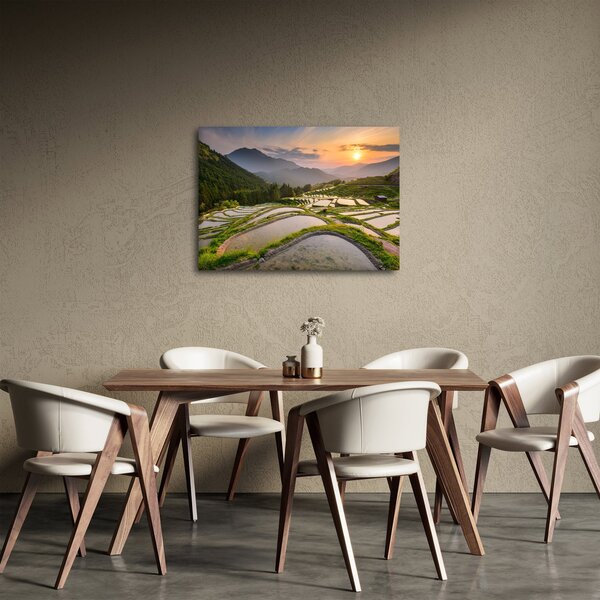 Obraz - Rýžové terasy (70x50 cm)