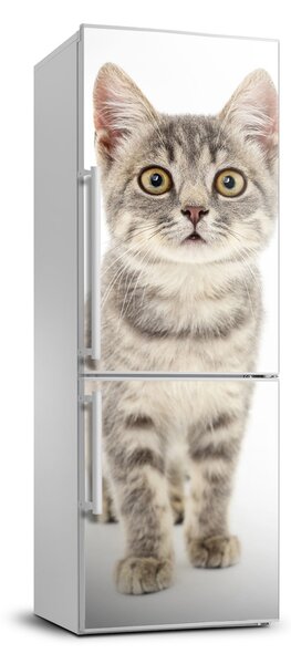 Nálepka fototapeta lednička Šedá kočka FridgeStick-70x190-f-91505124