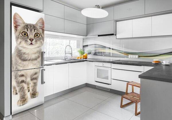 Nálepka fototapeta lednička Šedá kočka FridgeStick-70x190-f-91505124