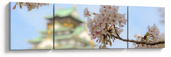 Obraz - Sakura (170x50 cm)