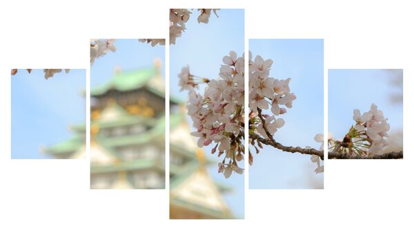 Obraz - Sakura (125x70 cm)
