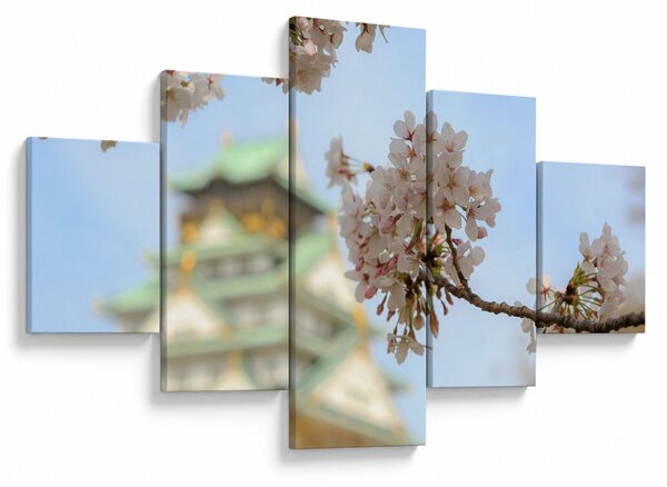 Obraz - Sakura (125x70 cm)