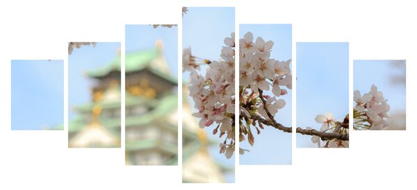 Obraz - Sakura (210x100 cm)