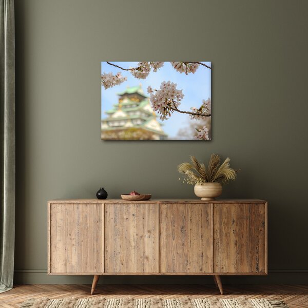 Obraz - Sakura (70x50 cm)
