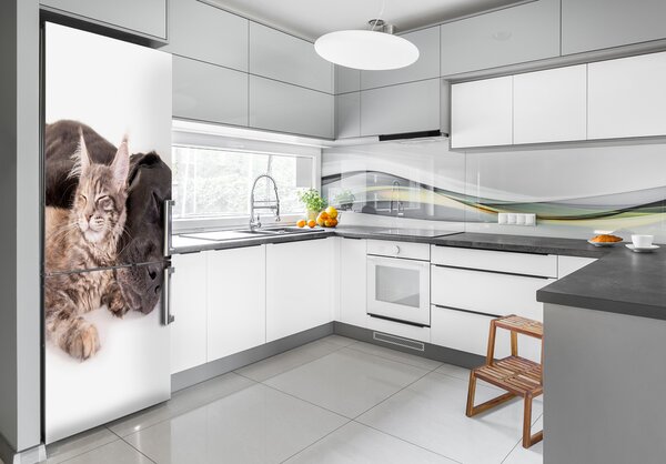 Foto nálepka na ledničku stěnu Pes a kočka FridgeStick-70x190-f-91792125