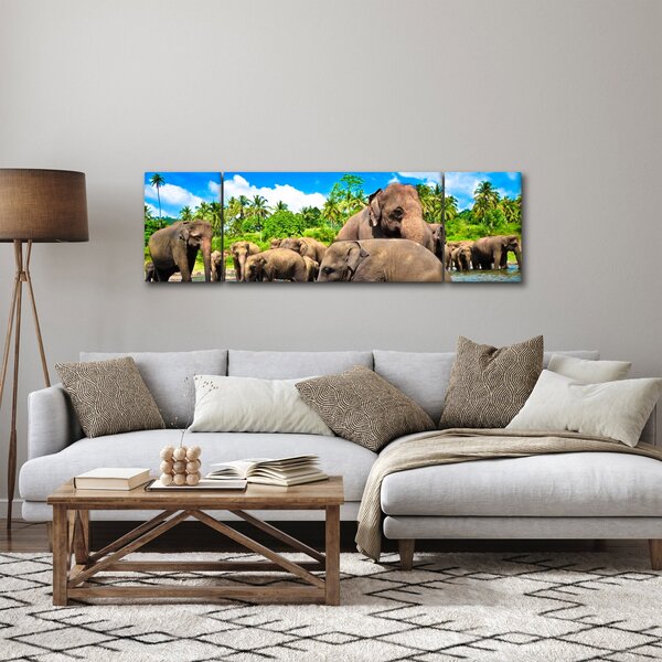 Obraz - Sloni, Sri Lanka (170x50 cm)