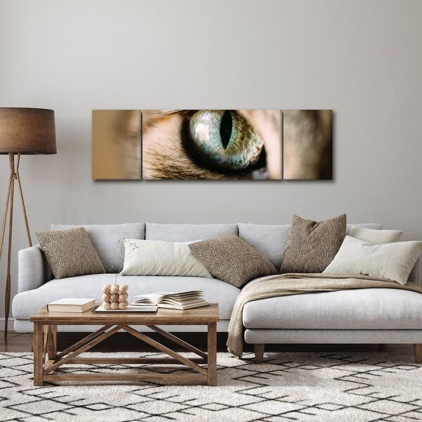 Obraz - Kočičí oko (170x50 cm)