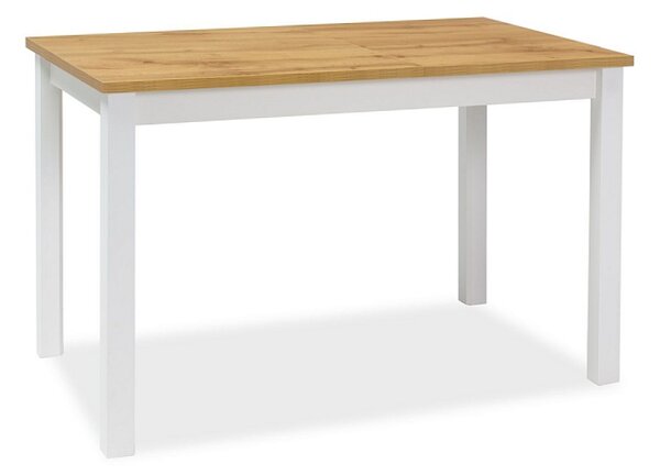 SIGNAL Jídelní stůl - ADAM, 100x60, dub votan/matná bílá