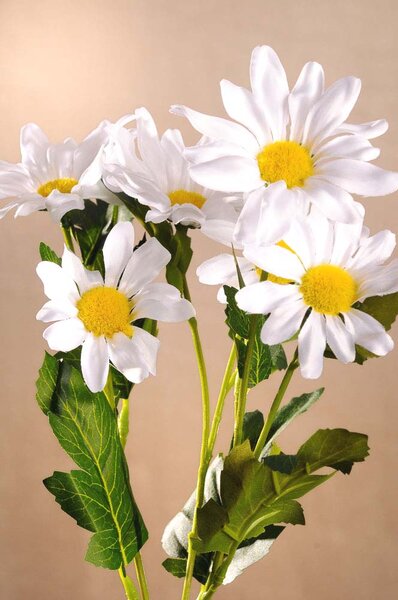 Paramit Kopretina bílá, umělá květina 68 cm