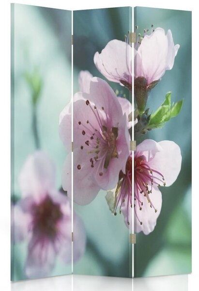 Paraván Záběr zblízka na třešňový květ Rozměry: 110 x 170 cm, Provedení: Klasický paraván