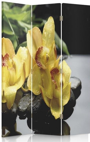 Paraván Kouzlo žluté orchideje Rozměry: 110 x 170 cm, Provedení: Klasický paraván
