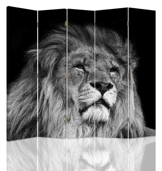 Paraván Lion v černé a bílé barvě Rozměry: 180 x 170 cm, Provedení: Klasický paraván