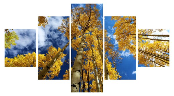 Obraz - Aspen (125x70 cm)