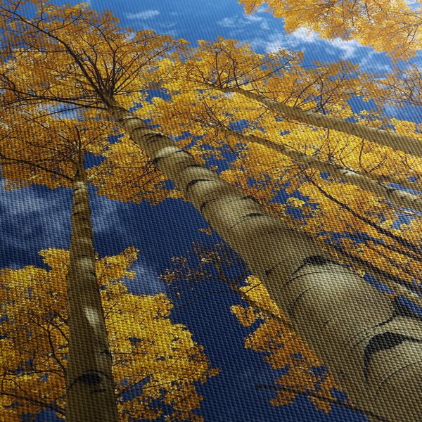 Obraz - Aspen (s hodinami) (90x30 cm)