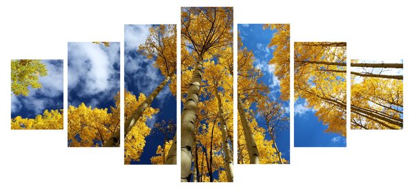 Obraz - Aspen (210x100 cm)