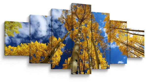 Obraz - Aspen (210x100 cm)