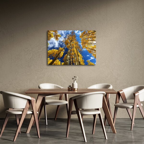 Obraz - Aspen (70x50 cm)