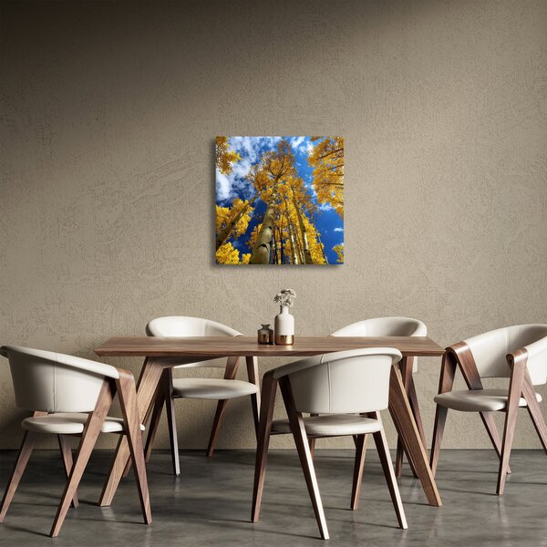 Obraz - Aspen (30x30 cm)