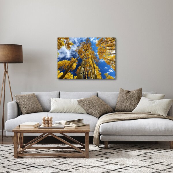 Obraz - Aspen (70x50 cm)