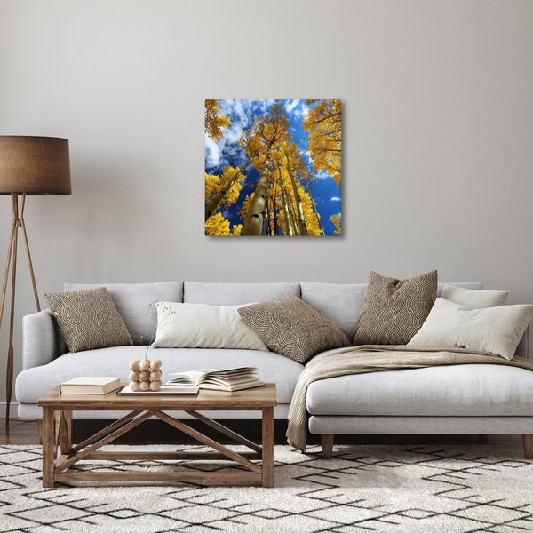 Obraz - Aspen (30x30 cm)