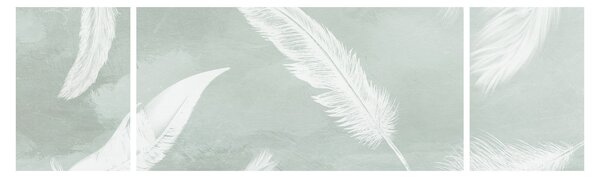 Obraz - Bílé peříčka (170x50 cm)