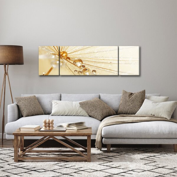 Obraz - Makro fotografie pampelišky (170x50 cm)