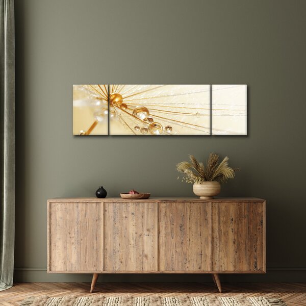 Obraz - Makro fotografie pampelišky (170x50 cm)