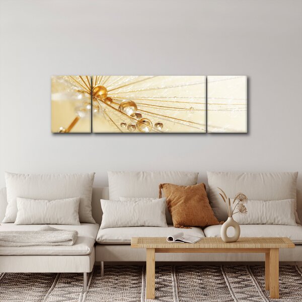 Obraz - Makro fotografie pampelišky (170x50 cm)
