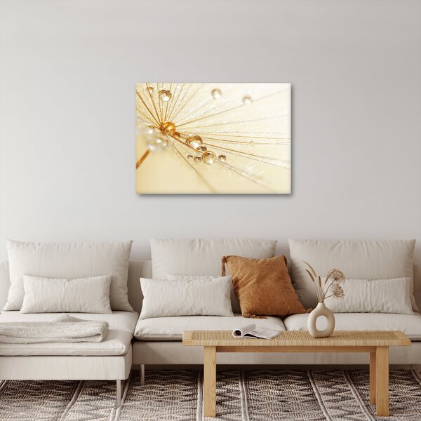 Obraz - Makro fotografie pampelišky (70x50 cm)