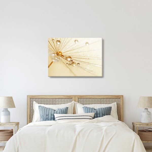 Obraz - Makro fotografie pampelišky (70x50 cm)