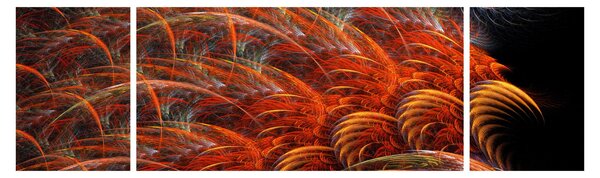 Obraz - Abstraktní imitace peří (170x50 cm)