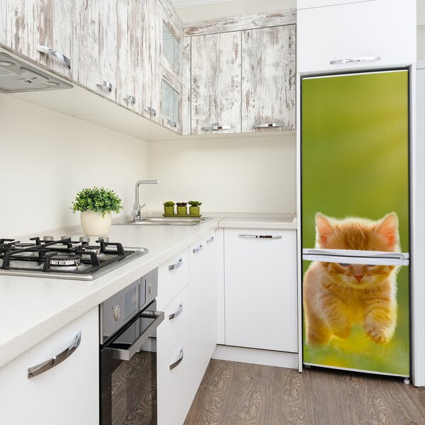 Nálepka fototapeta lednička Červená kočka FridgeStick-70x190-f-84856459