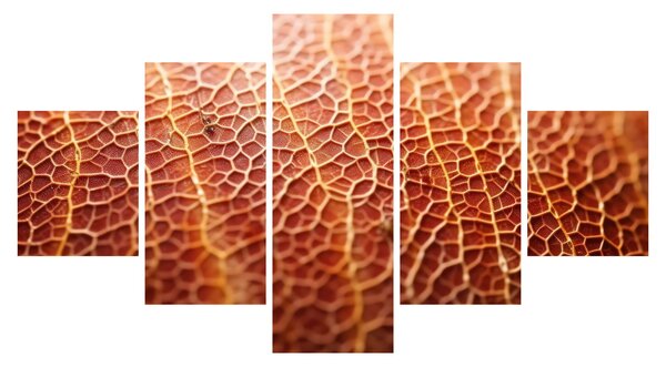 Obraz - Detail textury (125x70 cm)