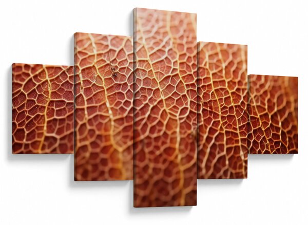 Obraz - Detail textury (125x70 cm)