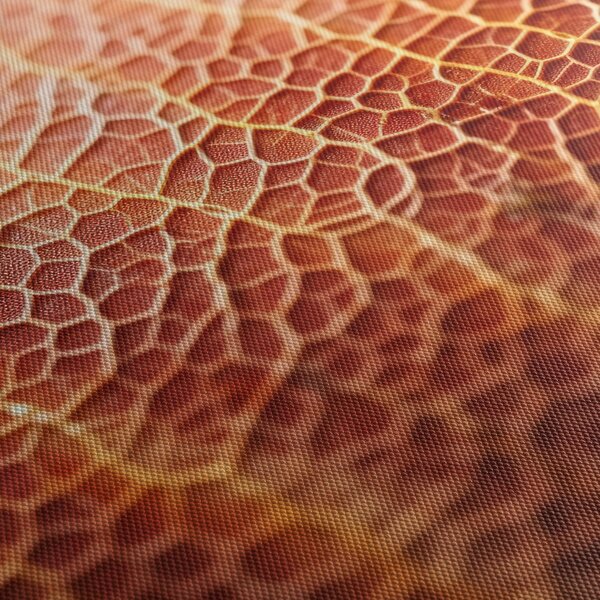 Obraz - Detail textury (125x70 cm)